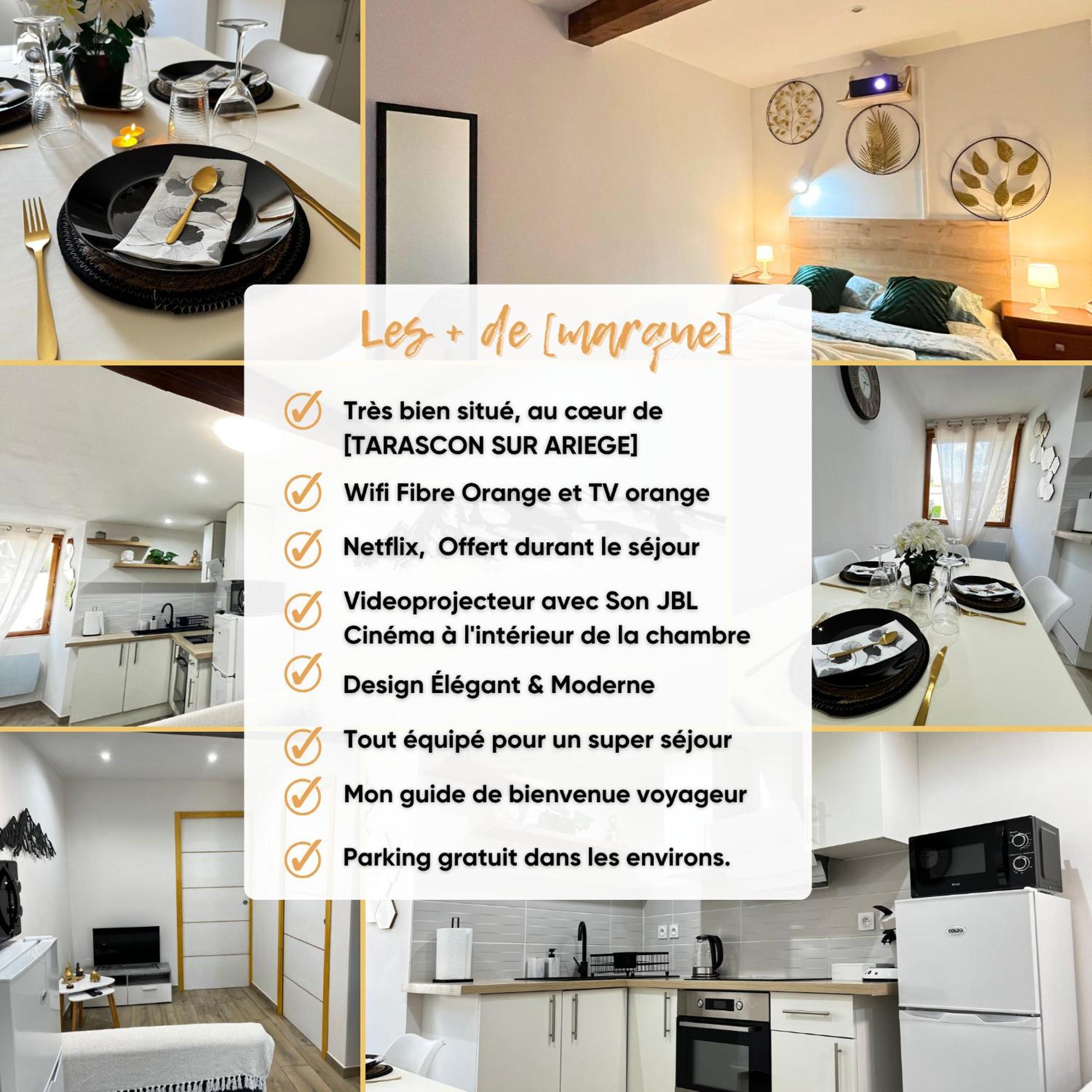 Beau Petit Au Coeur De L'ariege. Apartment